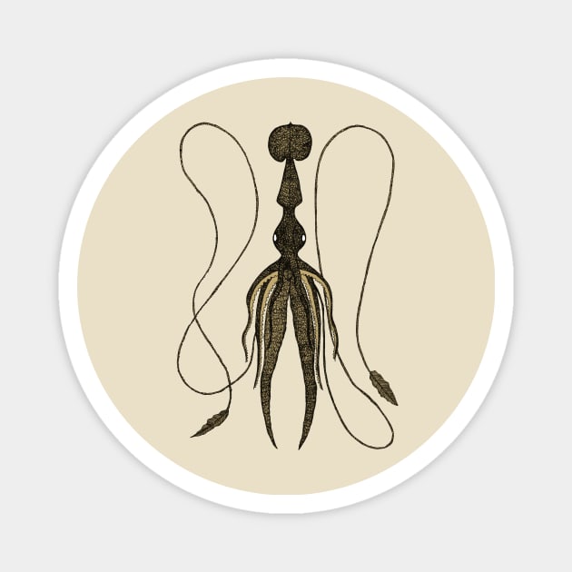 Squid Illustration Magnet by djrbennett